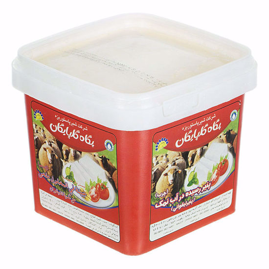 تصویر از پگاه پنیر لیقوان 400گرم