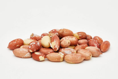 تصویر از بادام زمینی فله آستانه اشرفیه