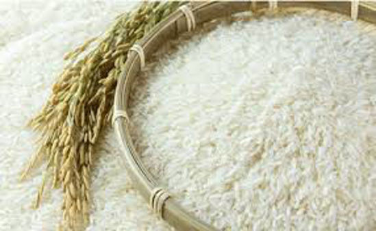 تصویر از برنج لاشه هاشمی درجه 1