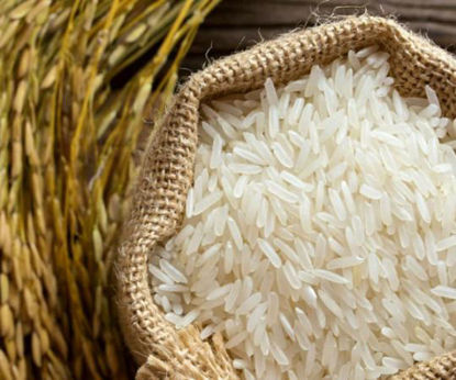 تصویر از برنج کاظمی محلی طارم درجه 1