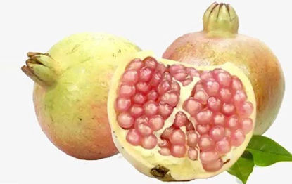 تصویر از انار طارم دستچین